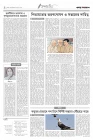 ৪র্থ পাতা